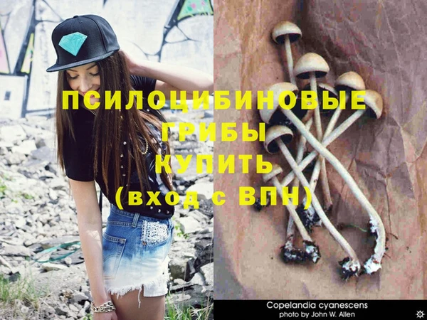 мескалин Каменногорск