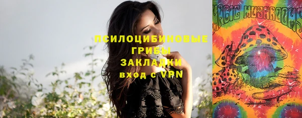 мескалин Каменногорск