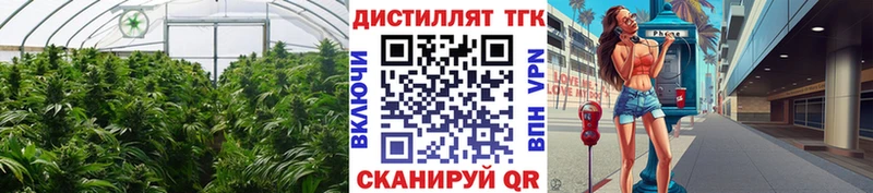 Купить закладки  Елабуга  ТГК вейп 